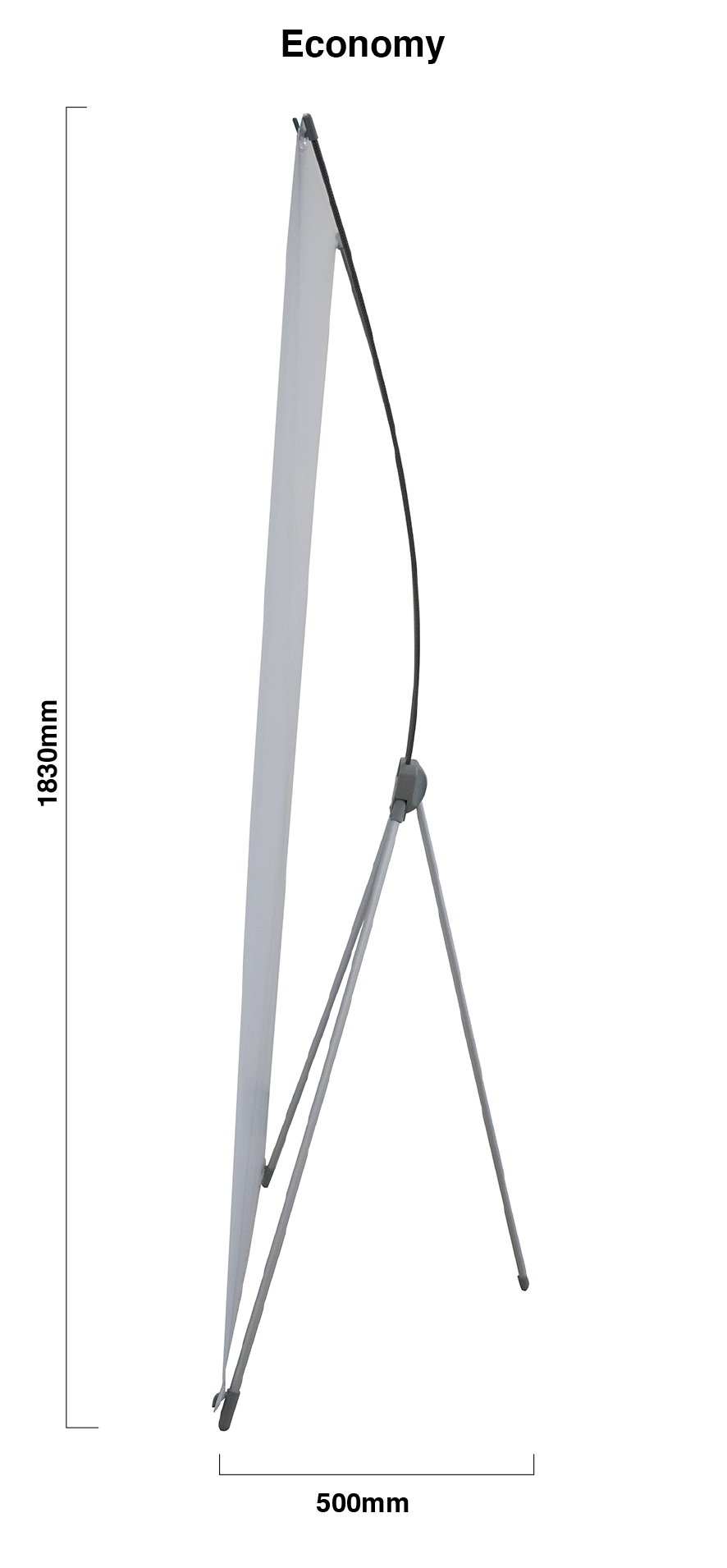 DS X Frame (B)